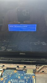 WhatsApp Image 2024-11-29 at 12.04.44 PM.jpeg